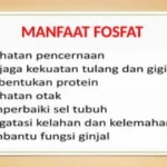 Apa Itu Fosfat