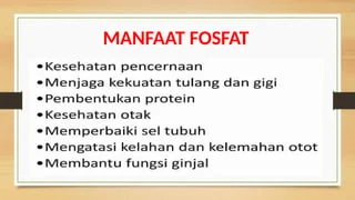 Apa Itu Fosfat