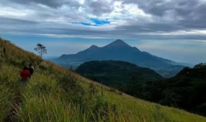 Soerjo Jawa Timur Tutup