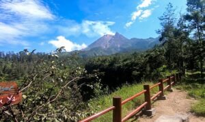 Wisata Hits