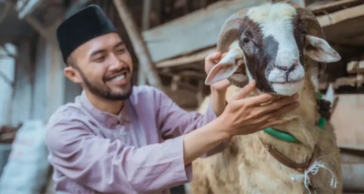 Pengertian Qurban dalam Islam