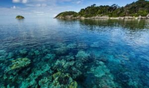 Kepulauan Anambas, Raja Ampat Versi Barat dengan Lautan Biru Memikat