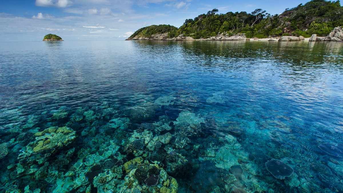 Kepulauan Anambas, Raja Ampat Versi Barat dengan Lautan Biru Memikat Kepulauan Anambas, Raja Ampat Versi Barat dengan Lautan Biru Memikat