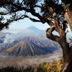 Bromo