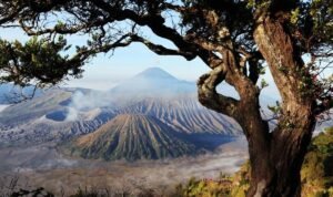Bromo