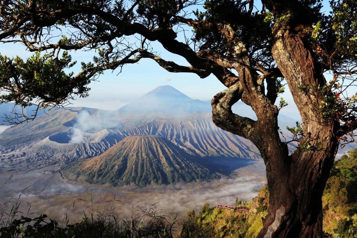 Bromo